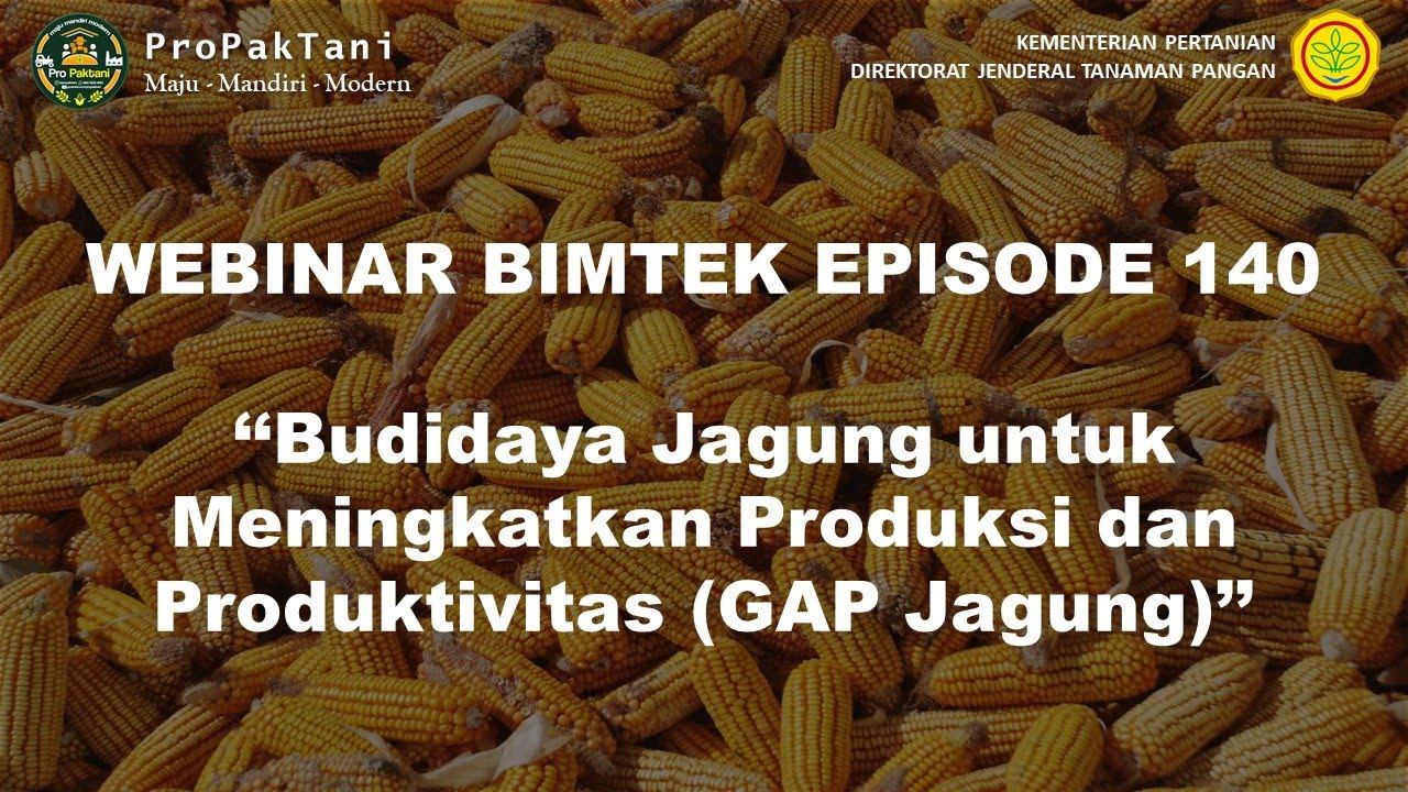 Budidaya Jagung untuk Meningkatkan Produksi dan Produktivitas (GAP Jagung) смотреть онлайн