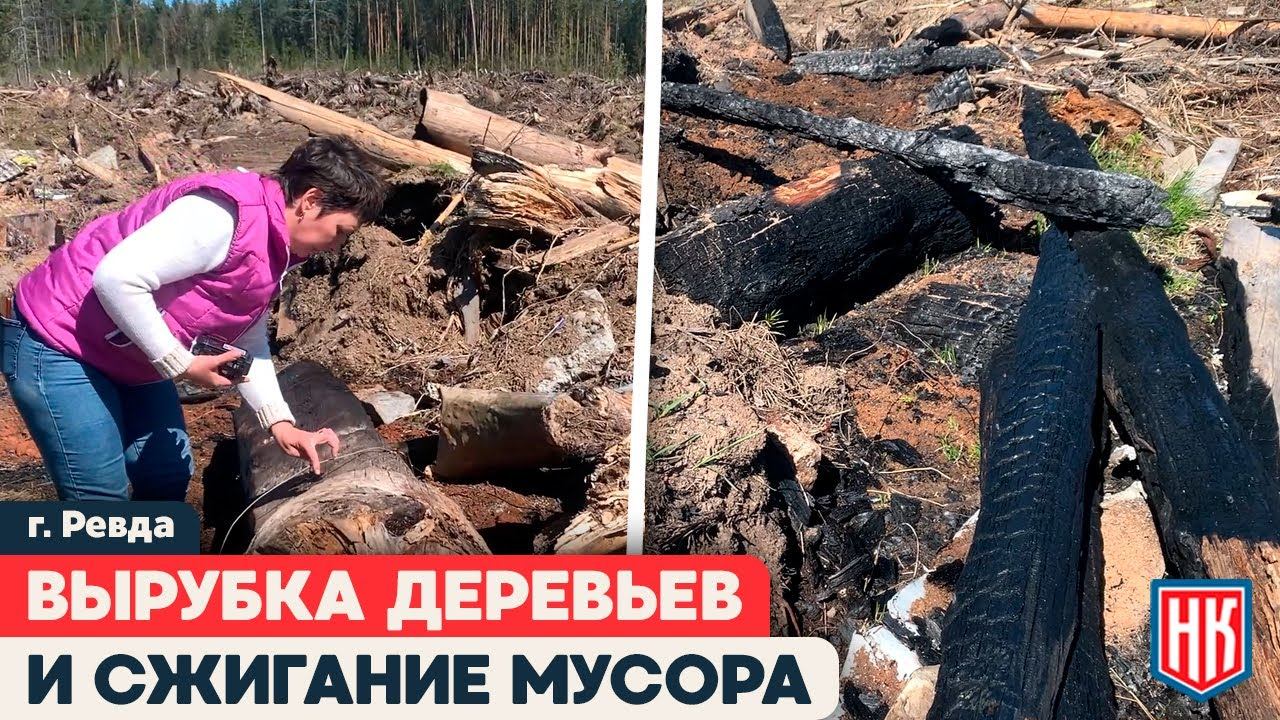 НЕЗАКОННАЯ ВЫРУБКА ДЕРЕВЬЕВ И ПОДЖОГ МУСОРА в Свердловской области смотреть онлайн