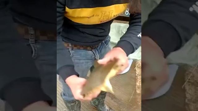 Чюрюпаха 😂😂😂 смотреть онлайн