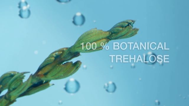 Neutrogena® Hydro Boost with 100% Botanical Trehalose смотреть онлайн