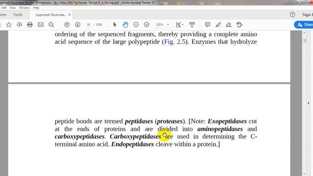 28 - cleaving poly peptide chain and determining its sequence смотреть онлайн