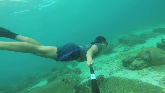 CEBU - Freediving - Whale Sharks смотреть онлайн
