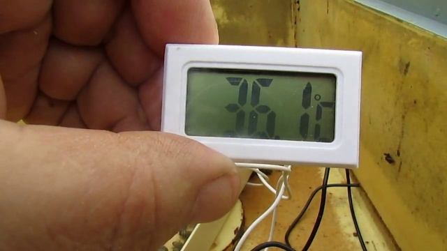 пчеловодство на ячейке 4,9 мм - часть 64, температура в гнезде выше на маленькой ячейке 5.05.2024 смотреть онлайн