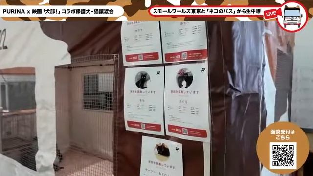 [7/16 第1部]　PURINA x 映画「犬部」コラボ保護犬・猫譲渡会 オンライン смотреть онлайн