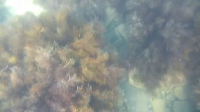 1 июля 2021 г.(1) смотреть онлайн