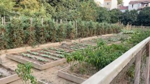 Kuzguncuk | Bostan Cafe | Turkiyaga Istanbulga Sayohat | Istanbul Ko’chalari | Туркияга Саехат | Уз