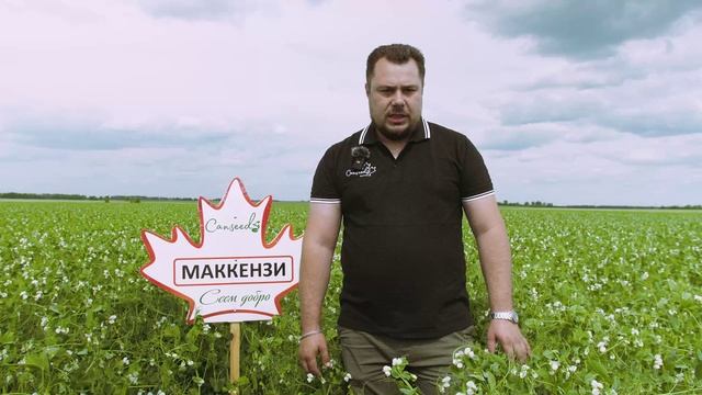 Наш ранний горох Маккензи и Эдвард. смотреть онлайн