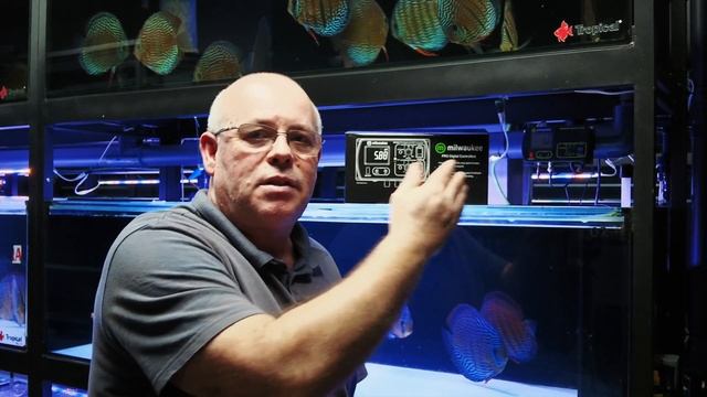 MC122 the Ph Digital Control in www.santaremdiscusplus.com смотреть онлайн