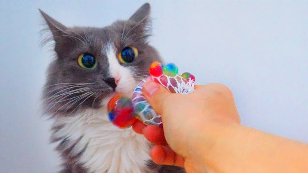 КОТОМОНСТР И СУПЕР ПСЫ ПРОТИВ СТРАННЫХ АНТИСТРЕСС ШТУК смотреть онлайн