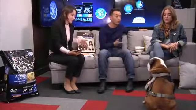 Carolina Ramírez - Facebook Live Purina Pro Plan