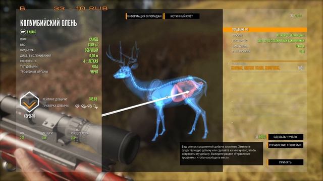 The Hunter Call of Wild:Продолжение! смотреть онлайн