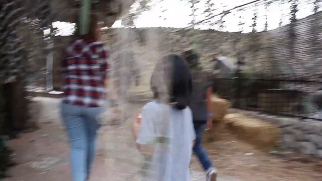 A day at Scandia смотреть онлайн