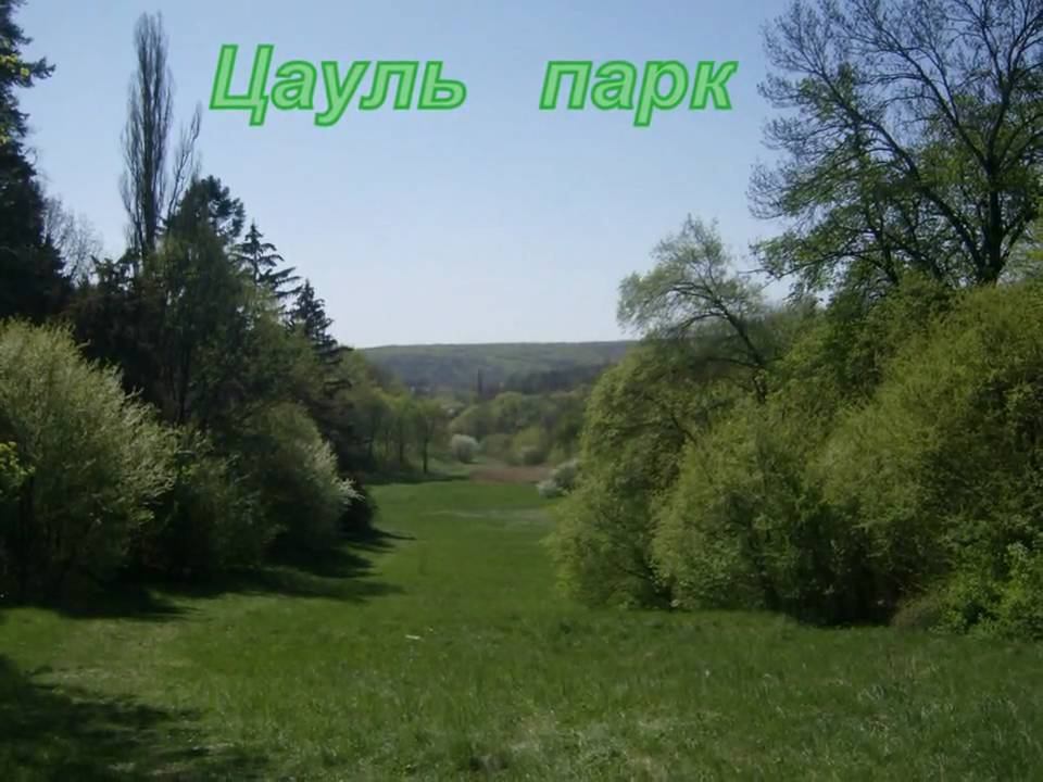 De la Naslavcea la Cupcini смотреть онлайн