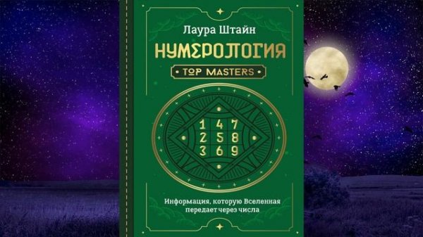 Нумерология. Top Masters. Информация, которую Вселенная передает через числа (Л. Штайн) Аудиокнига