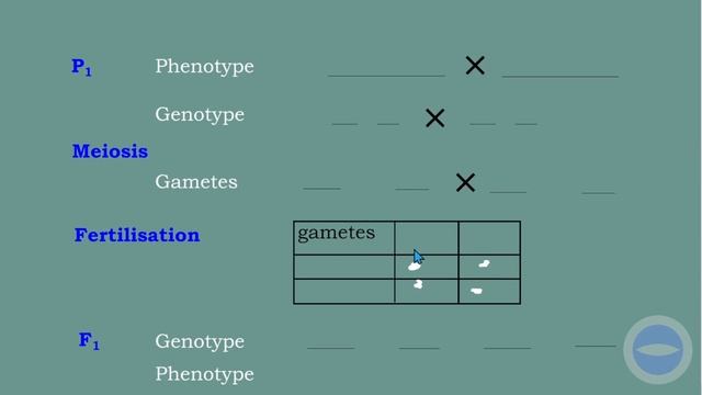 Genetics | Monohybrid Crosses | Life science grade 12 | смотреть онлайн