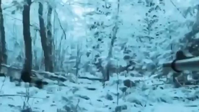 Был на грани жизни и смерти. Жесть! смотреть онлайн