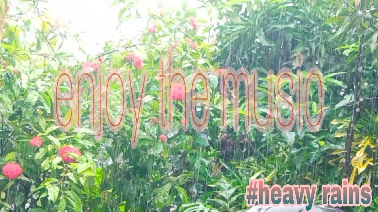 Love song in a heavy rain |no cpr_chill'n time смотреть онлайн