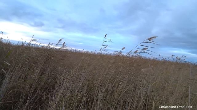 Караси богатыри, на паук подъёмник. Охотимся с геркой на уток.