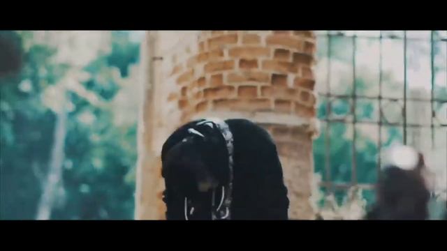 Топ 10 лучших песен группы Stigmata смотреть онлайн