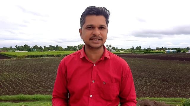 बैक्टेरियल ब्लाईट कंट्रोल करने का १००% जुगाड🔥|bacterial blight |bacterial disease смотреть онлайн