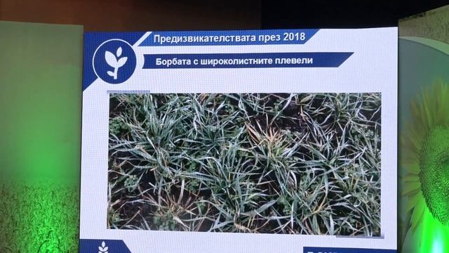 БАСФ С ЯСНА СТРАТЕГИЯ ЗА БЪДЕЩЕТО смотреть онлайн