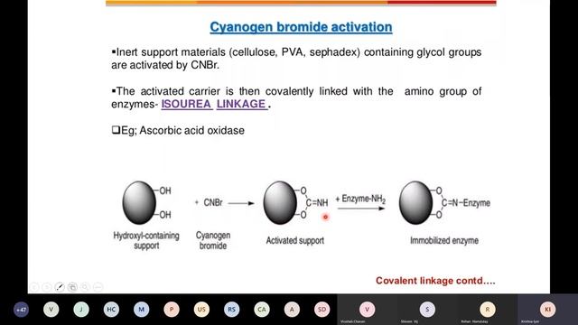 KRI BIOTECH 15 Immobilized Enzymes and Cells 02 смотреть онлайн