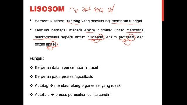 ORGANELA SEL II (PLASTIDA - SITOSKELETON) смотреть онлайн