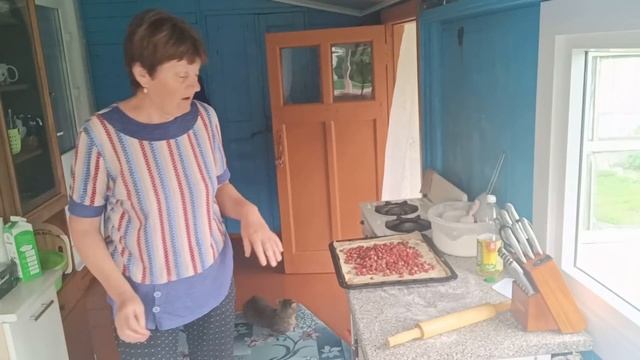 Семейный пирог/ Нас много /Два раза завалилась, но ведерко удержала/ смотреть онлайн