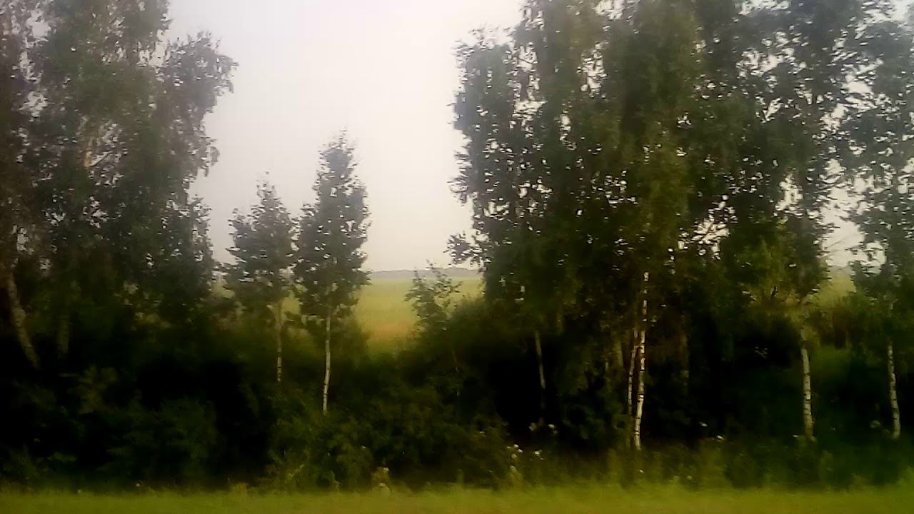 28.07.2019. СНТ "Надежда" - Омск, ул. Б. Хмельницкого. смотреть онлайн