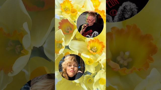 Весна пришла... Захотелось петь 🎤 Она не знала французского, а другая не знала русского #пою#дуэт смотреть онлайн