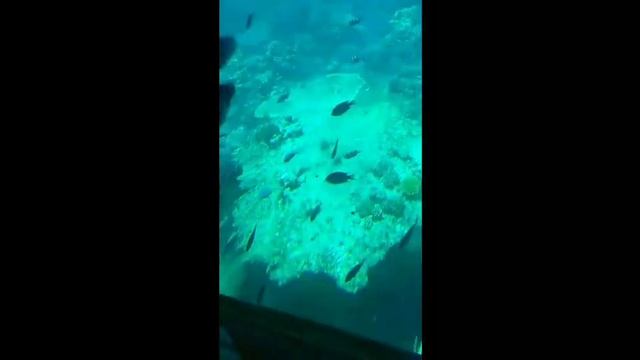 Что же находится в Египте под водой??? смотреть онлайн