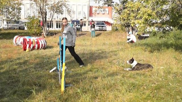25.09.16 Белка. Новички смотреть онлайн