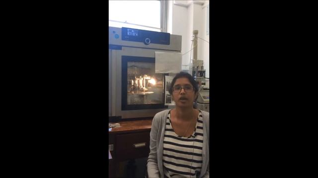 Critical Opalescence: LNG Research смотреть онлайн