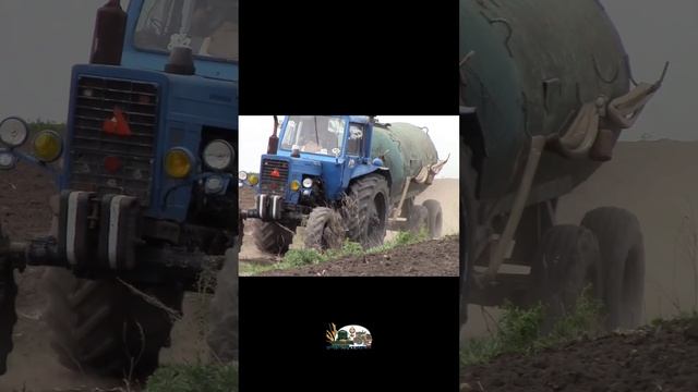 Привёз полную бочку воды Мтз 82 смотреть онлайн