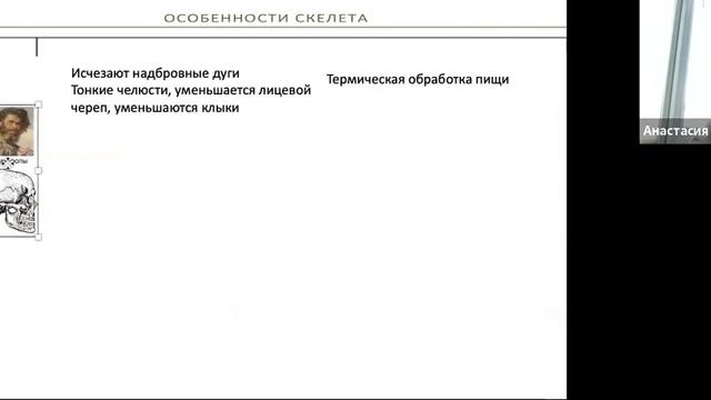 эволюция человека