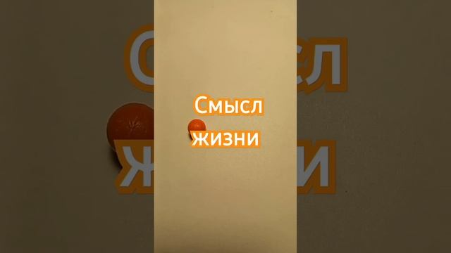 смысл жизни #любовь #жизнь #смысл смотреть онлайн