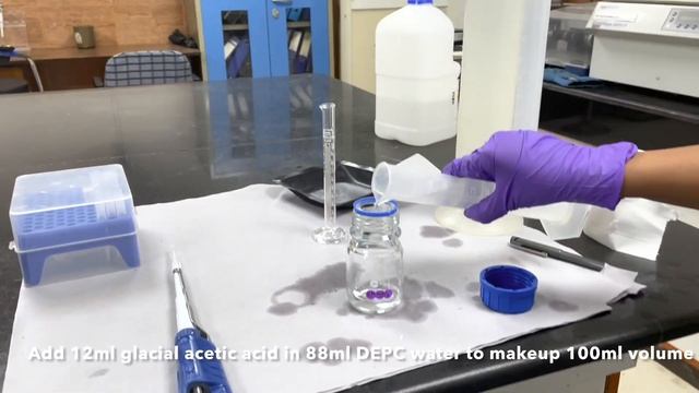 How to prepare sodium acetate solution for DNA isolation. смотреть онлайн