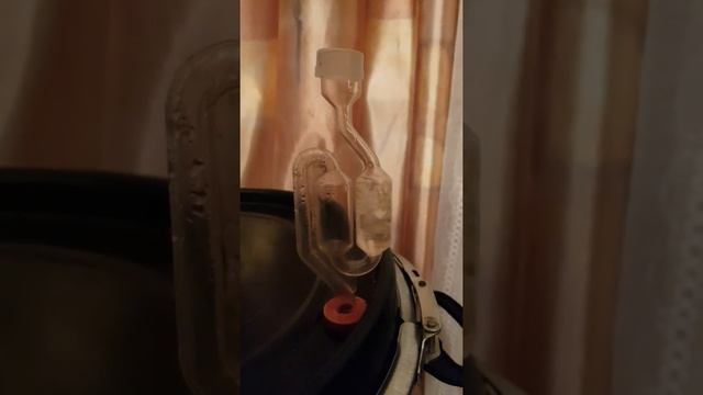 Дрожжи Брагман 48 ..10 кг сахара на 30 л воды 24 ч с момента запуска. смотреть онлайн