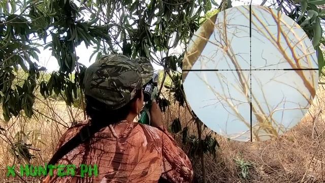 PEST CONTROL SA MONGOHAN смотреть онлайн