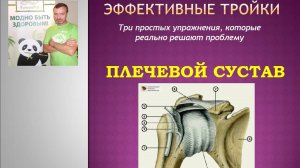 Эффективные тройки -  Плечевой сустав