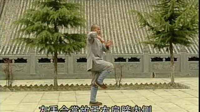 Шаолинь Жаоянь цюань - Шаолиньский Солнечный кулак смотреть онлайн