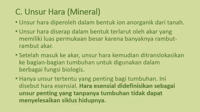 Anfistum P2 смотреть онлайн