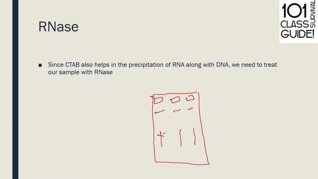 Plant DNA Isolation смотреть онлайн