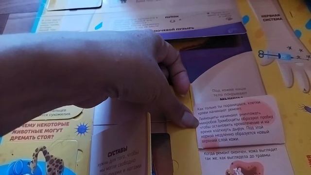 Книга "Что внутри человека" смотреть онлайн
