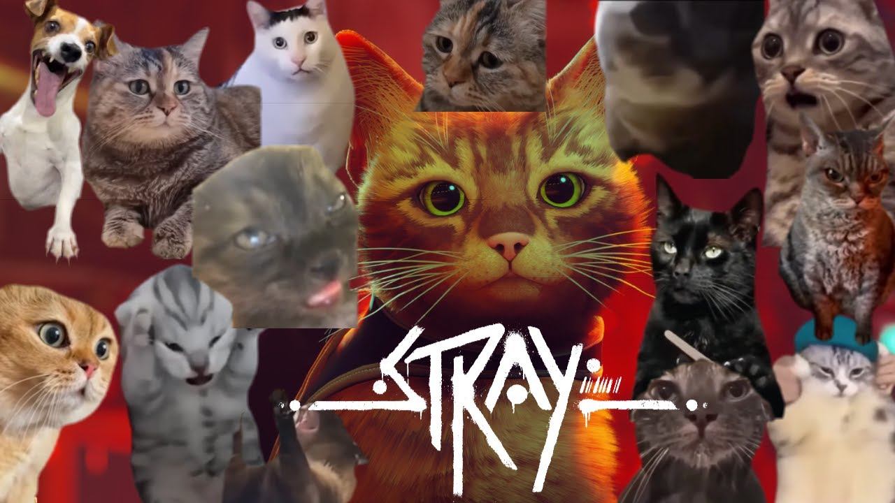 【初見歓迎】猫ミームブームが終わる前に猫ホラゲーやる【#2】 смотреть онлайн