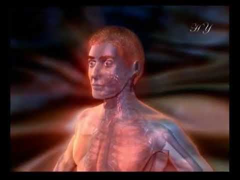 Чудо Дыхания