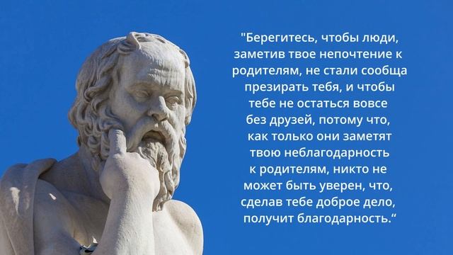 СОКРАТ Лучшие цитаты #мудрость #цитаты #ecowisdom смотреть онлайн