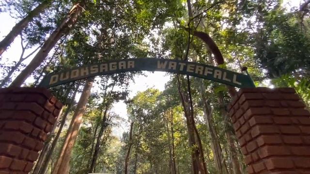 Goa, India * Christmas and New Years 2019/2020* смотреть онлайн