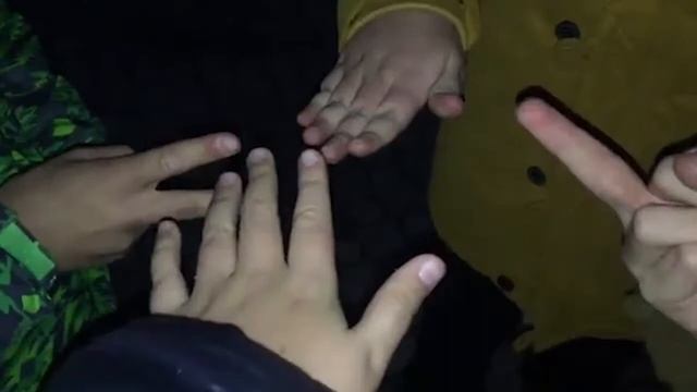 #1 Дичь Видео ДВ смотреть онлайн