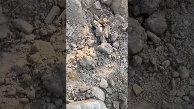 Булыжники в грунте на ЗУ, что делать?♂️ #строительствосочи #технадзор смотреть онлайн